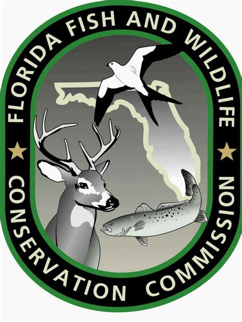 Fl fish and wildlife - Mar 5, 2024 · With more than 560 National Wildlife Refuges, 70 national fish hatcheries, numerous regional and field offices across the country and thousands of active conservation projects, the nearly 8,000 employees of the U.S. Fish & Wildlife Service have a lot going on. 